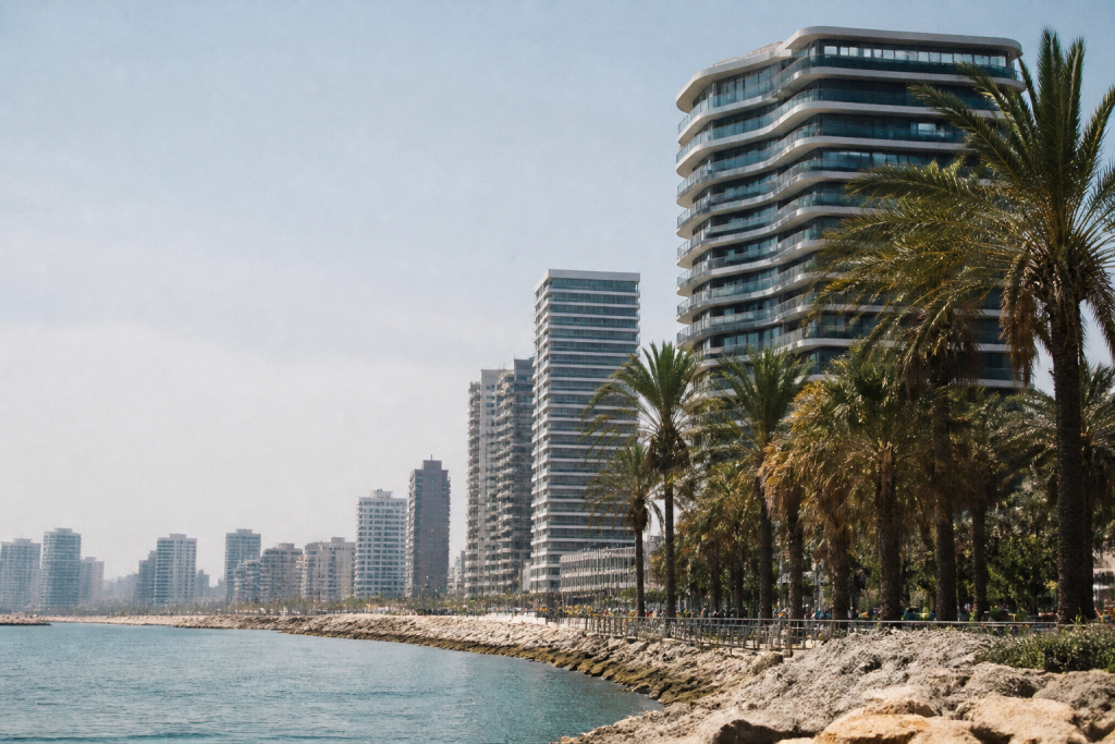 Tours modernes et palmiers au bord de la mer